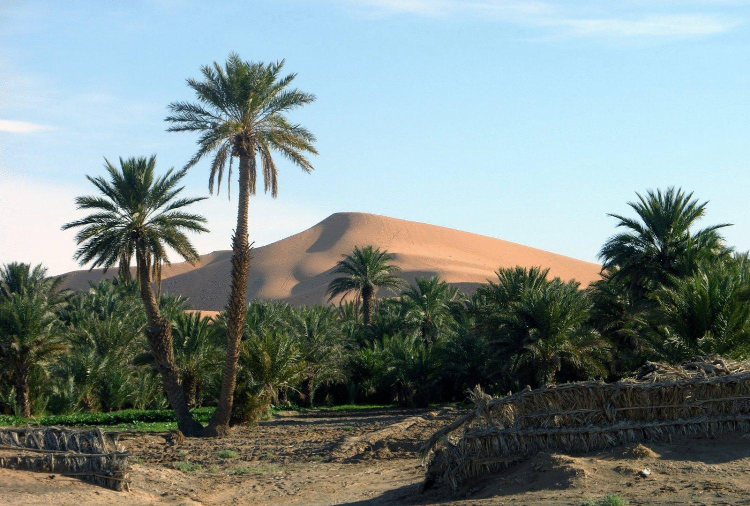 Hotel Riad Oasis Merzouga Exterior foto